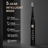 Elektrische Zahnbürste 5-Gang-Modus USB-Aufladung IPX7 für Erwachsene